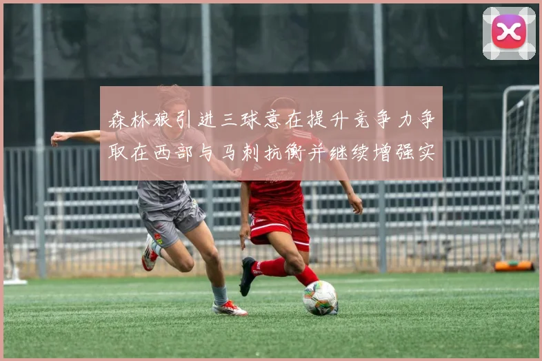 森林狼引进三球意在提升竞争力争取在西部与马刺抗衡并继续增强实力
